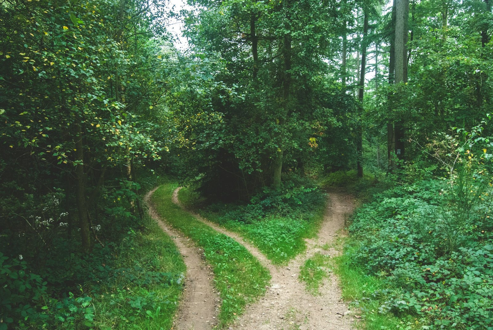 Coaker's Walk