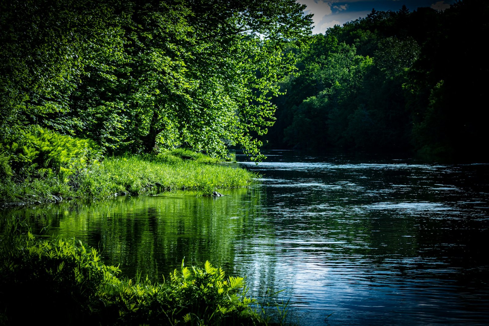Lake View