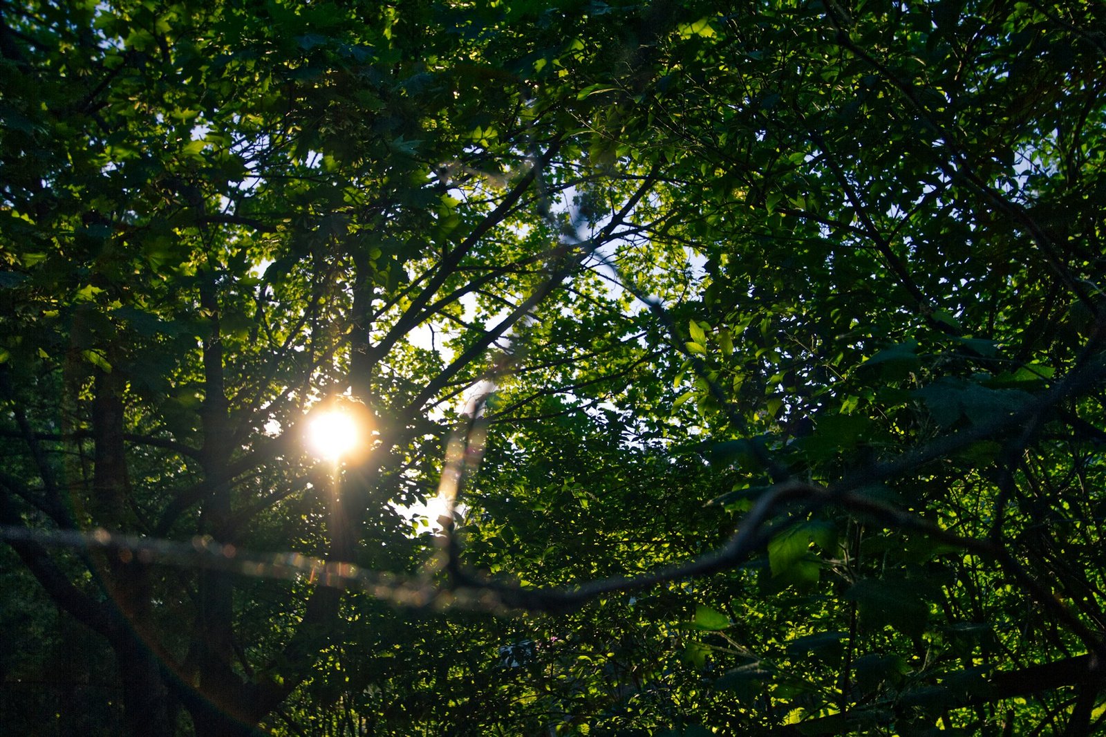 Bryant Park