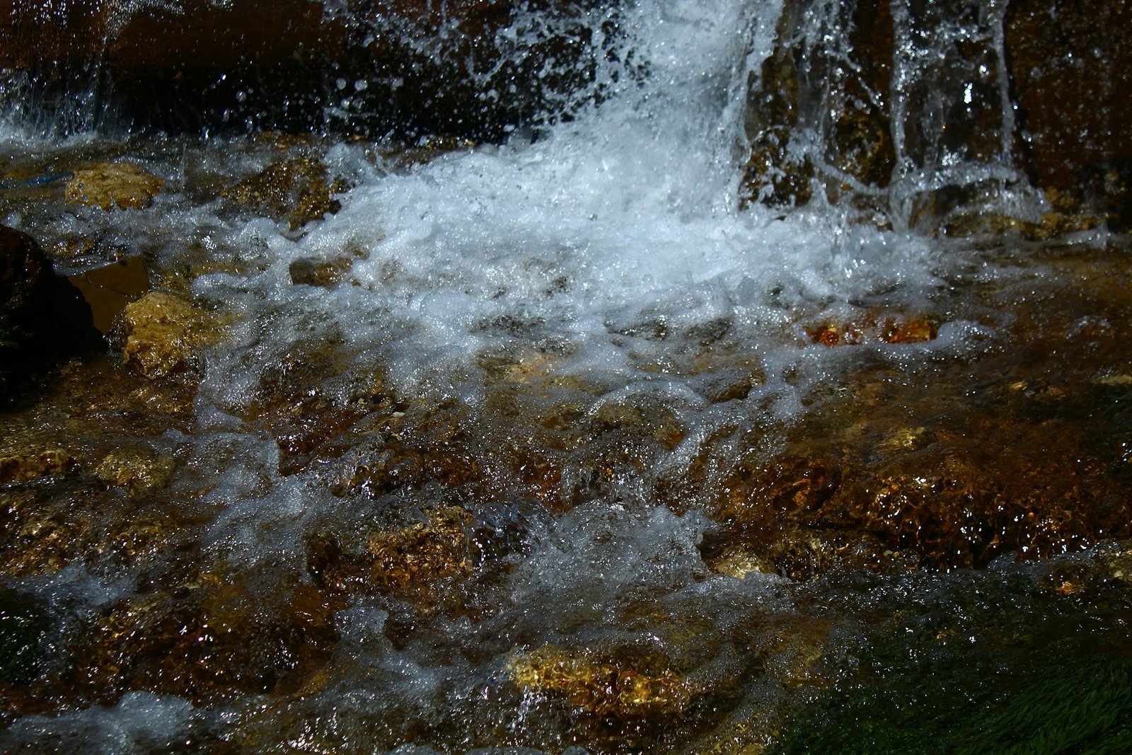 Coaker's Walk