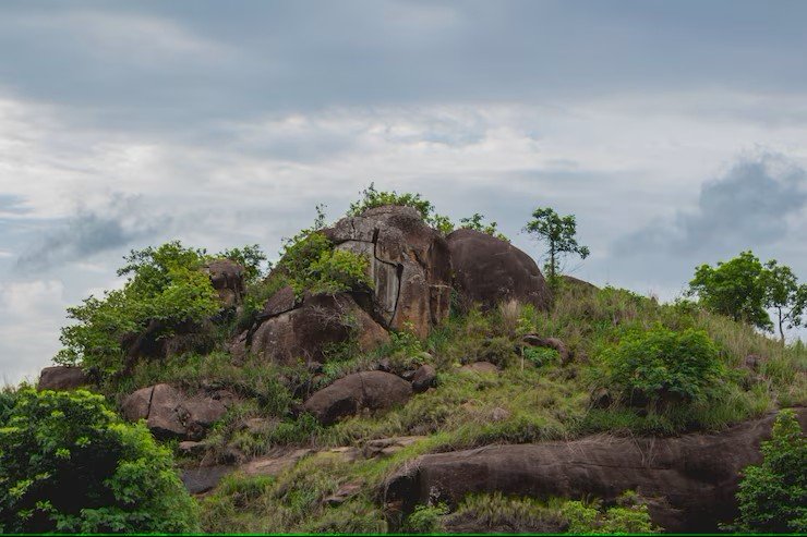 Nature and History